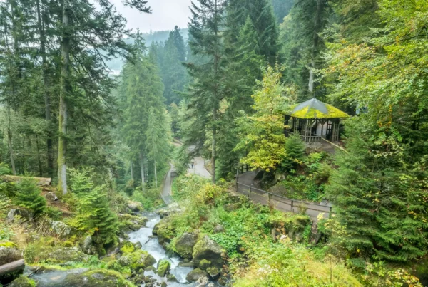 Natur entdecken