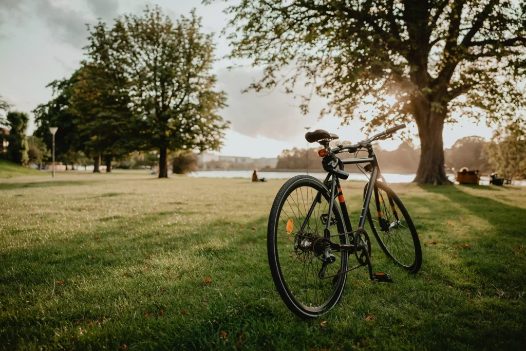 Bicycle standing on a green meadow with trees and a lake in the background at sunset at the Maison Black Forest resort