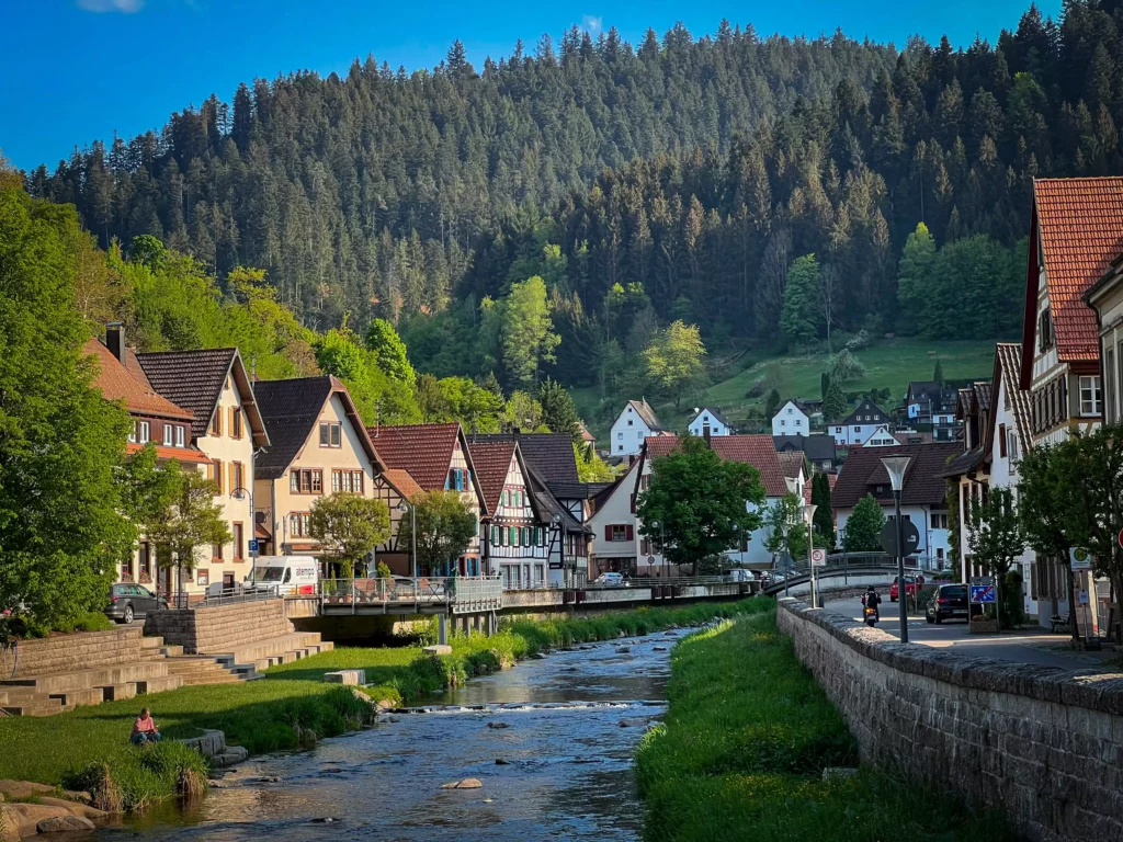 Idyllic Black Forest village with half-timbered houses beside the river and a wooded hill in the background in sunshine
